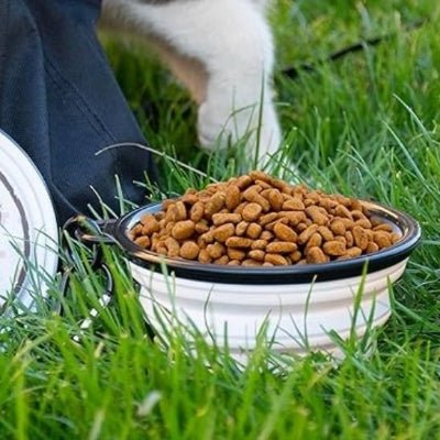 Gamelle chat rempli de croquette posée sur de l'herbre