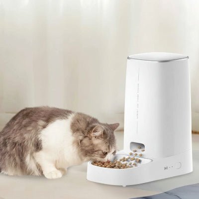gamelle intelligente chat avec un chat beige prêt à manger