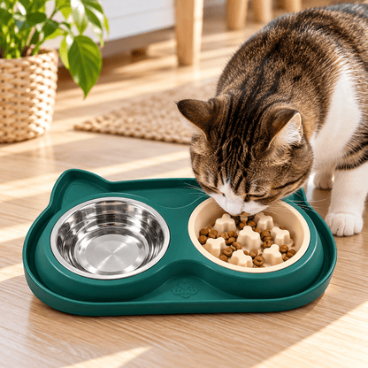 gamelle pour chat anti glouton verte