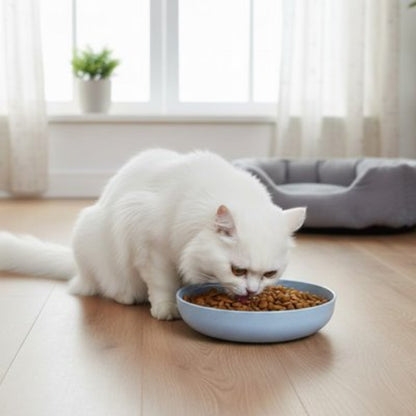 Gamelles chat bleu 