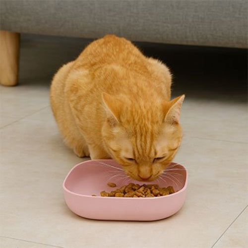 gamelles chat rose