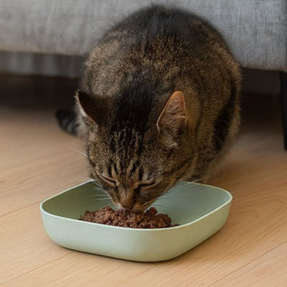 Gamelles chat verte