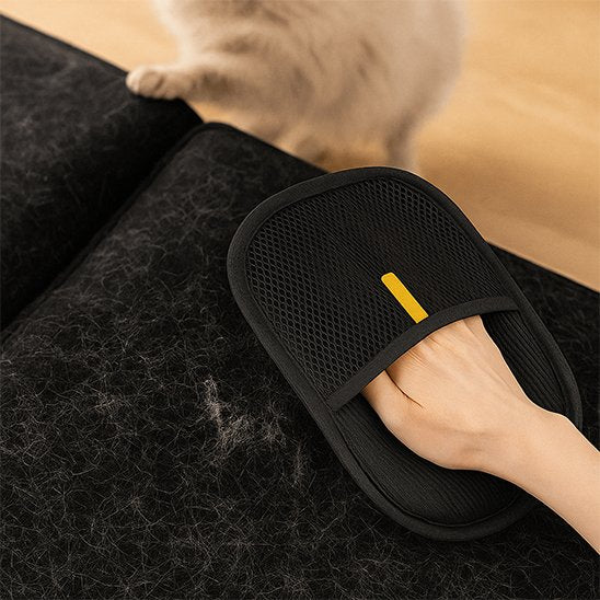 gant poil chat sur canapé noir
