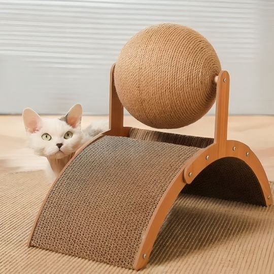 griffoir pour chat design