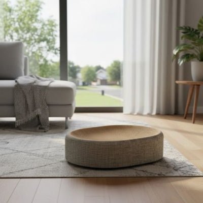 griffoir pour chat présenté dans un salon