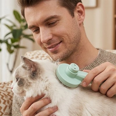 homme utilise brosse pour chat à poil long