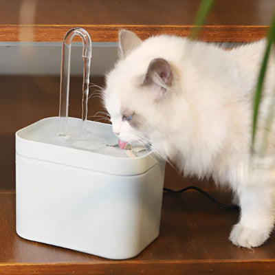 jolie chat blanc buvant eau fontaine à eau pour chat