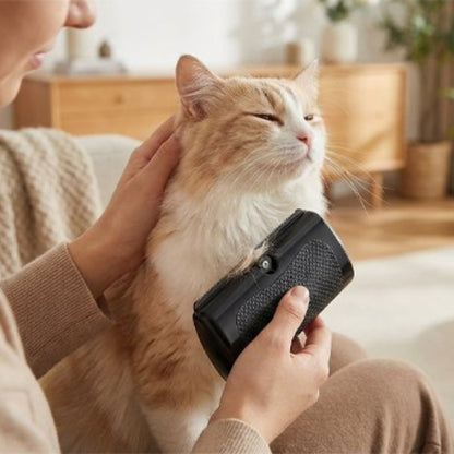 main brosse chat roux avec brosse poil chat