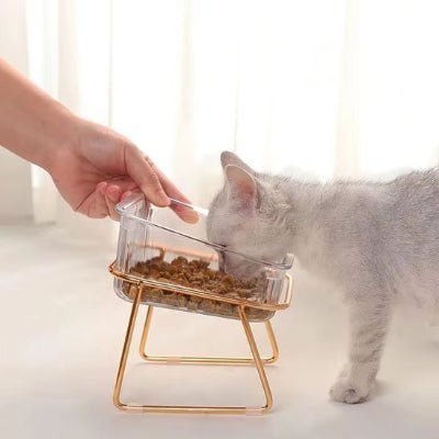 main sert des croquette dans une gamelles pour chats