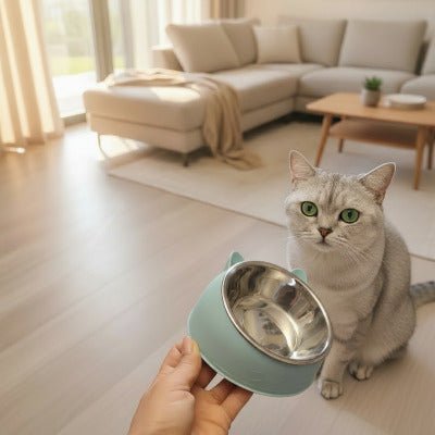 Une main tendue présentant une gamelle pour chat