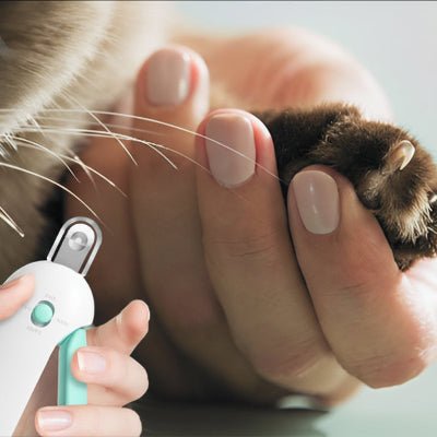 la main tiens la patte pour coupe ongle chat