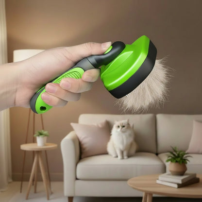 poils sur la brosse chat poil long