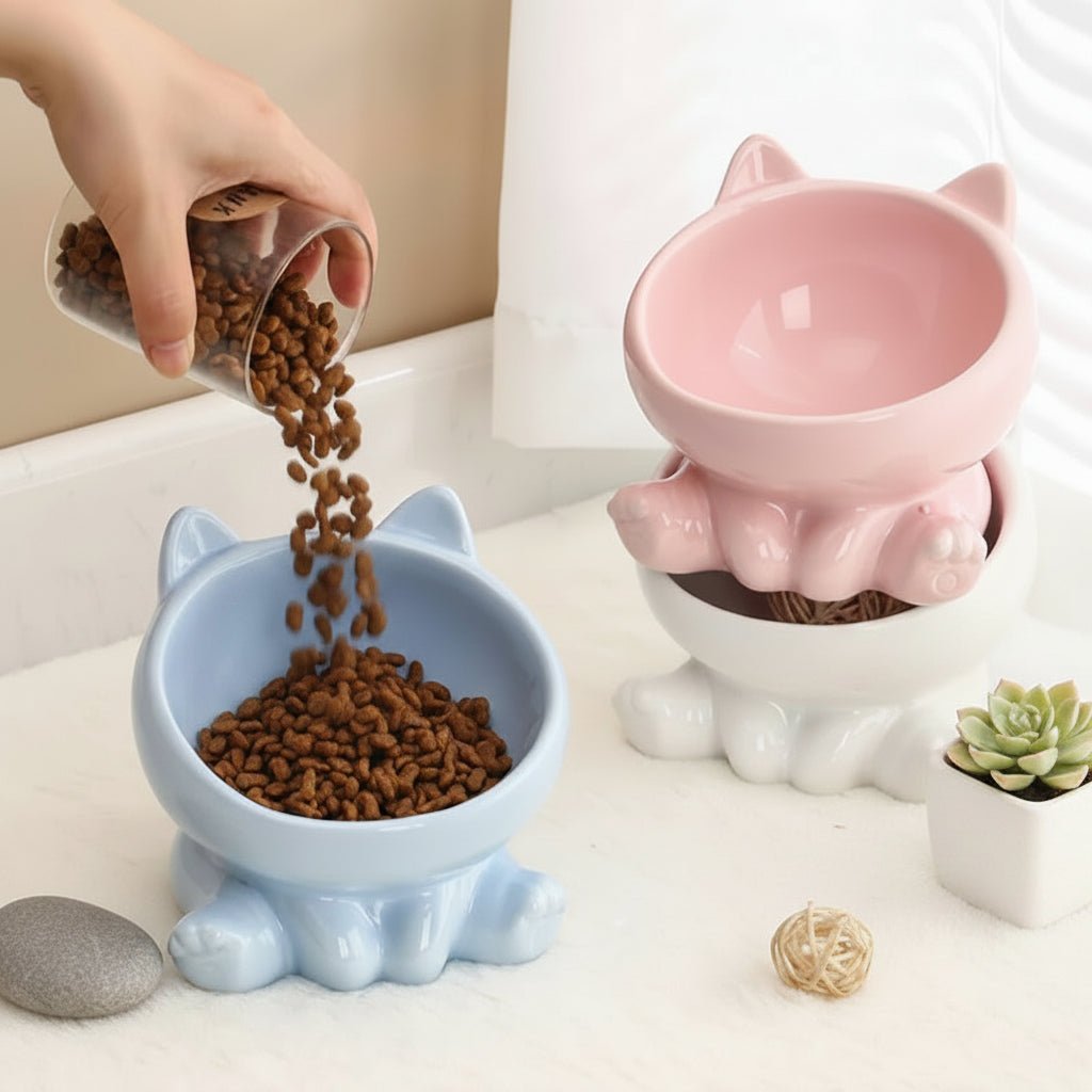 présentation de la gamelle ceramique pour chat 