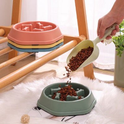 remplissage de croquettes dans la gamelle anti glouton verte