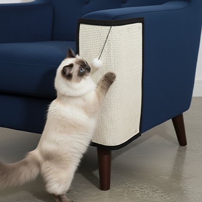 Tapis griffoir Chat protège le canapé