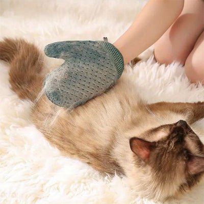 Toilettage doux avec Gant de toilettage