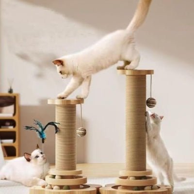 trois chats jouant avec le griffoir à chat