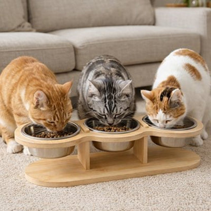 trois chats mangent dans gamelles pour chats