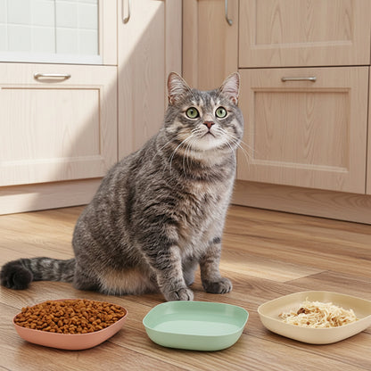 trois gamelles chat multicolore