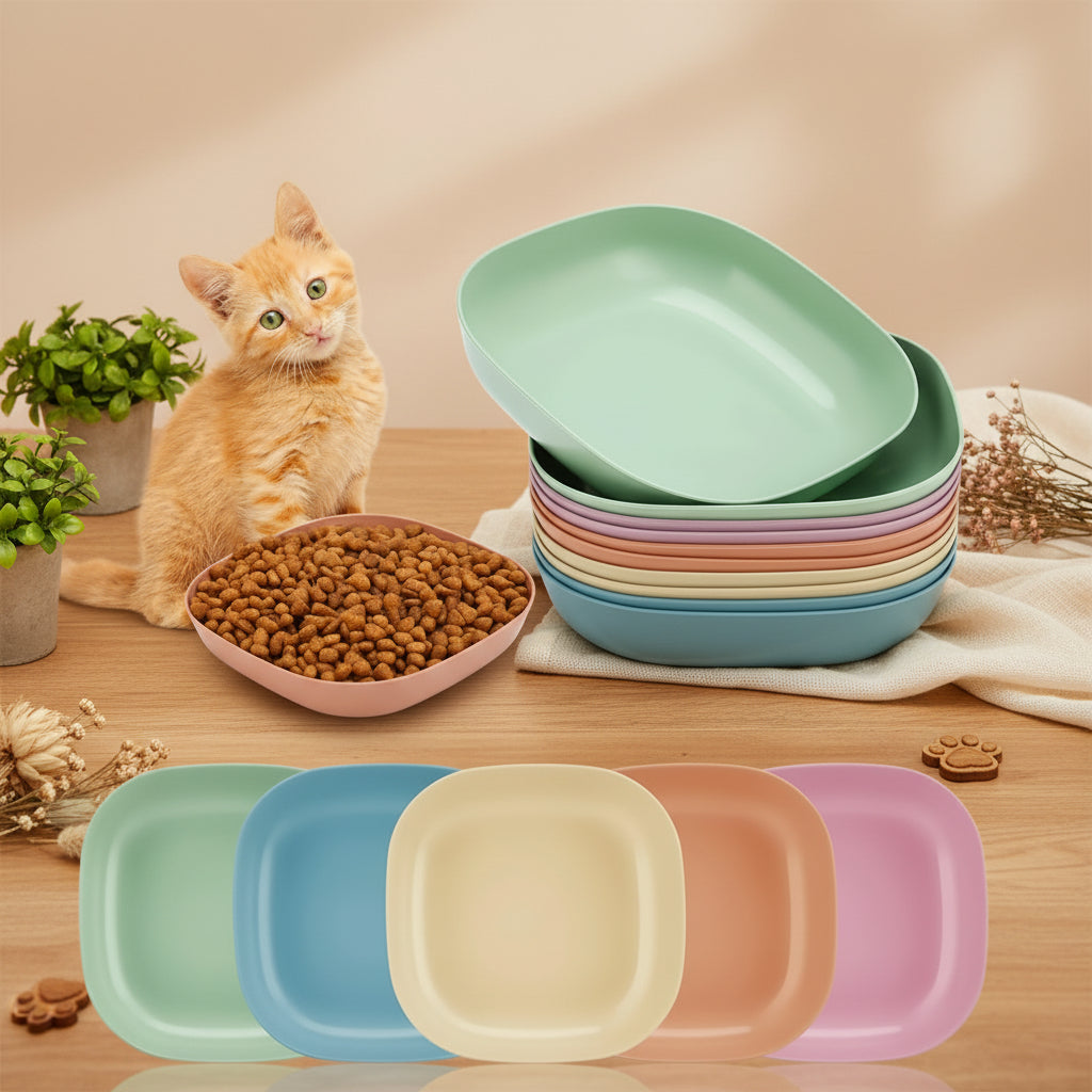 vingt gamelles chat multicolore